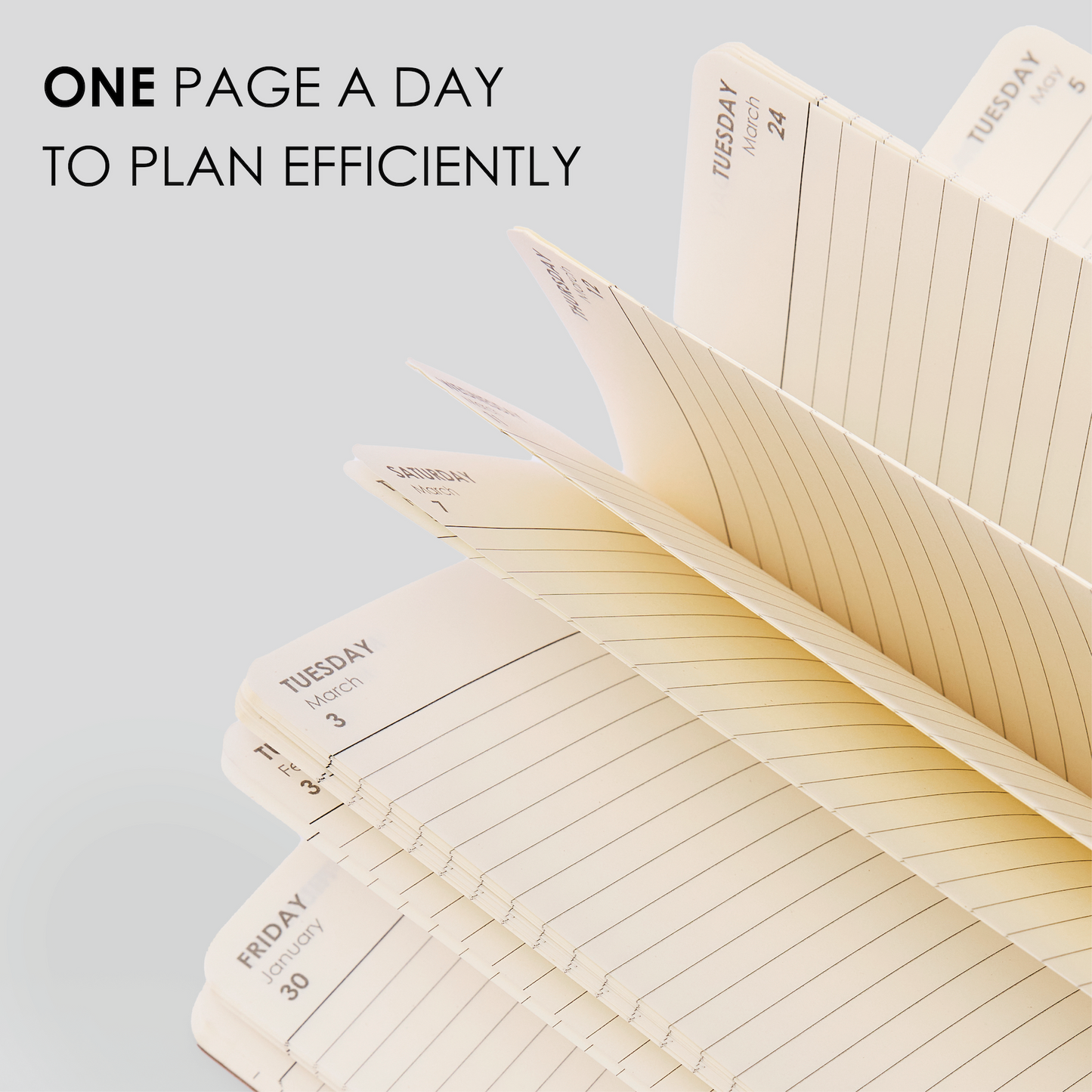 2026 DAILY PLANNER - M2