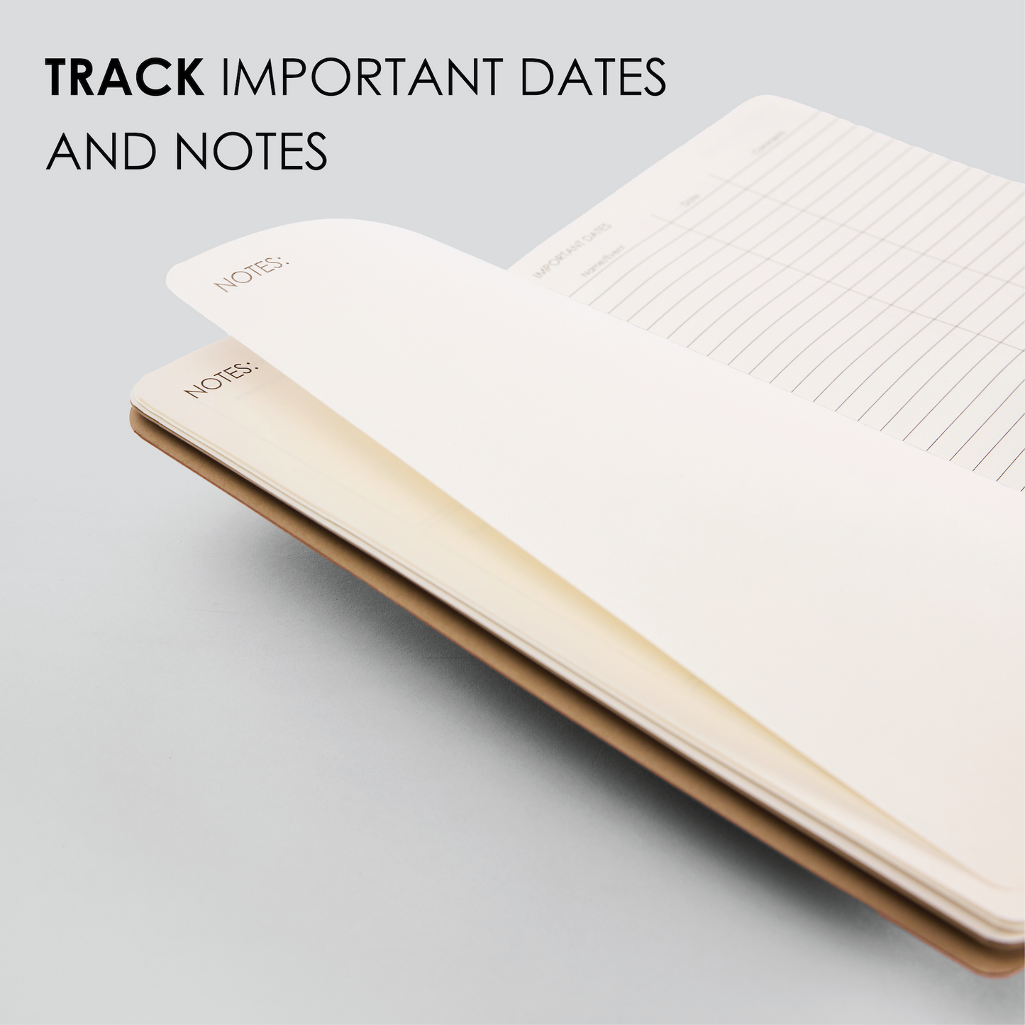 2026 DAILY PLANNER - M1